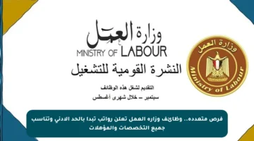 فرص متعددة.. وظائف وزارة العمل تعلن رواتب تبدأ بالحد الأدنى وتناسب جميع التخصصات والمؤهلات